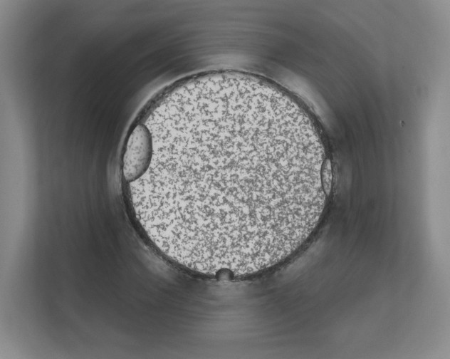 X0000111130924200908111036