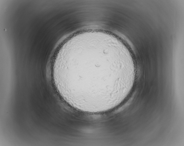 X0000111130925200908111036