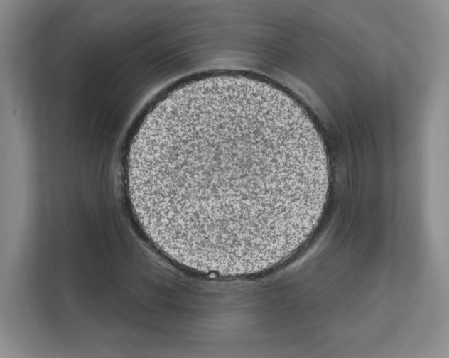 X0000111130926200908111036