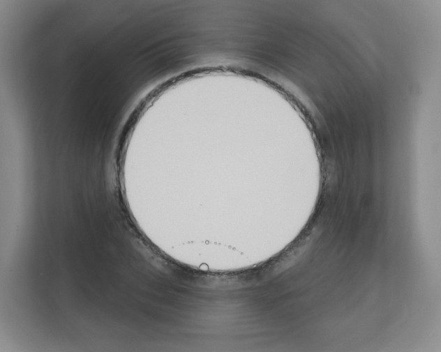 X0000111130927200908111036