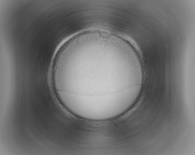 X0000111130928200908111036