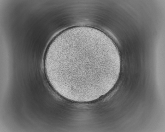 X0000111130932200908111036