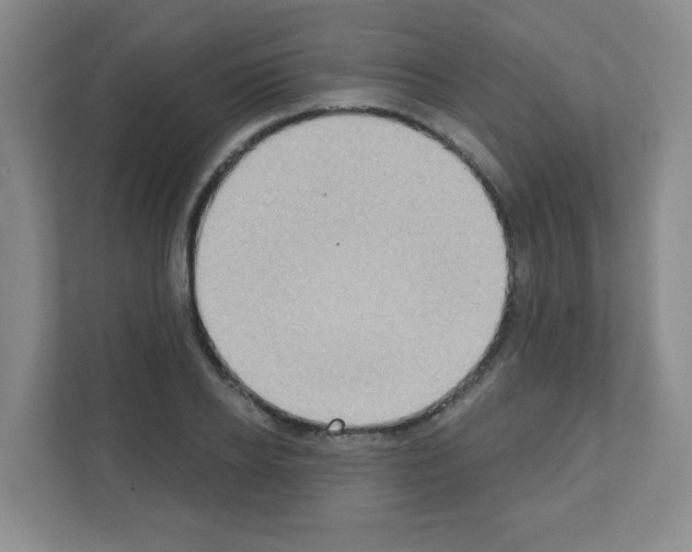 X0000111130934200908111036
