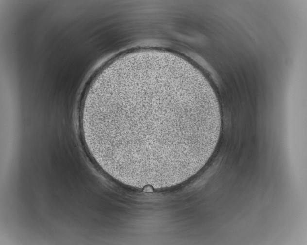X0000111130935200908111036