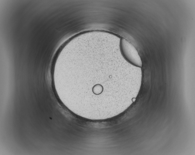 X0000111130936200908111036