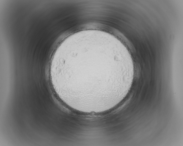 X0000111130938200908111036