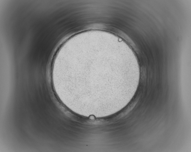 X0000111130939200908111036