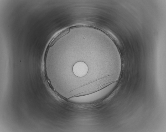 X0000111130940200908111036