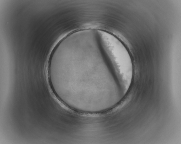 X0000111130941200908111036