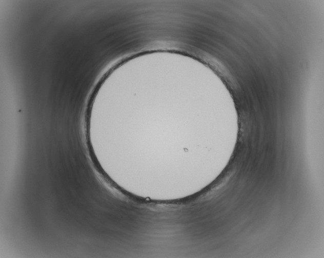 X0000111130942200908111036