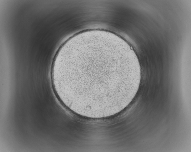 X0000111130943200908111036