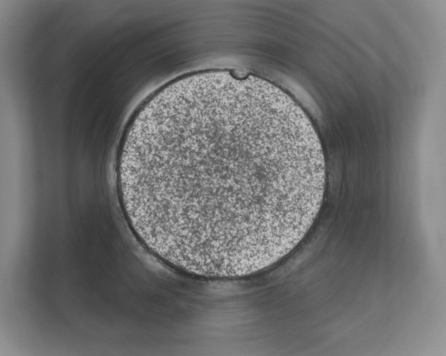 X0000111130944200908111036