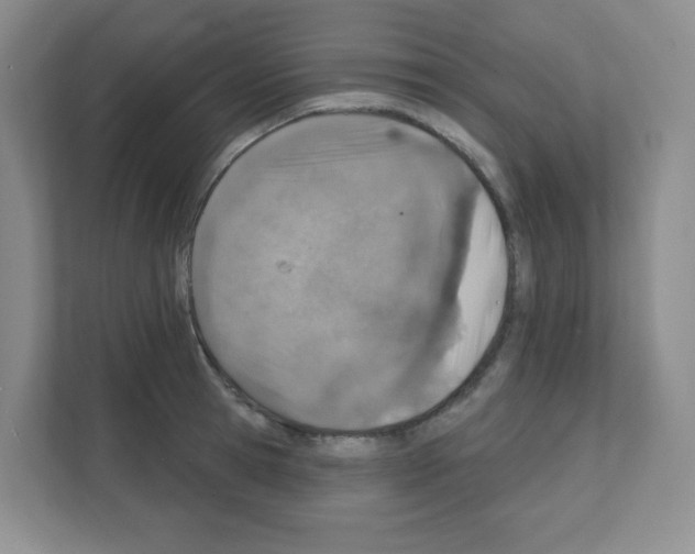 X0000111130945200908111036