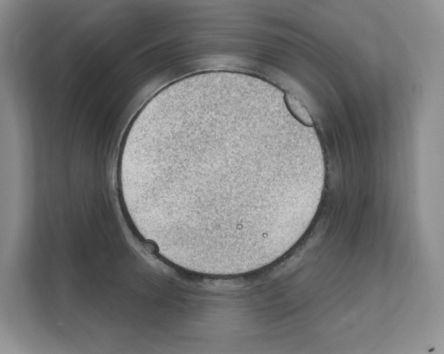 X0000111130946200908111036