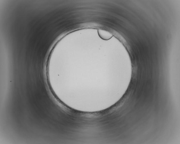 X0000111130947200908111036