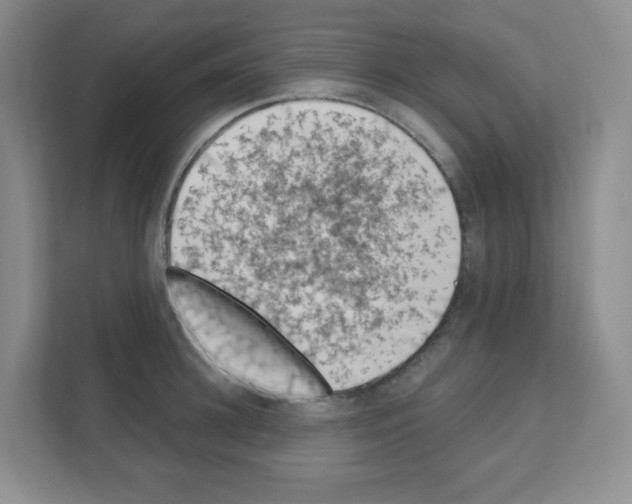 X0000111130948200908111036