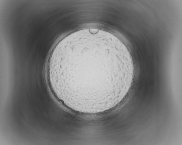 X0000111130949200908111036