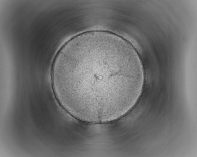 X0000111130950200908111036