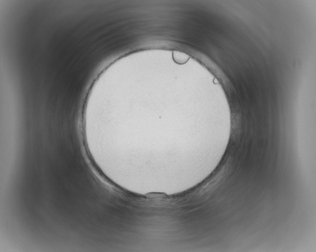X0000111130951200908111036