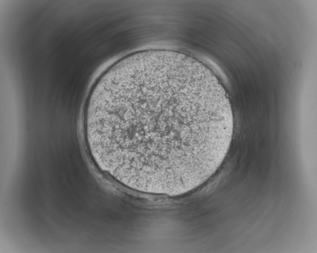 X0000111130952200908111036