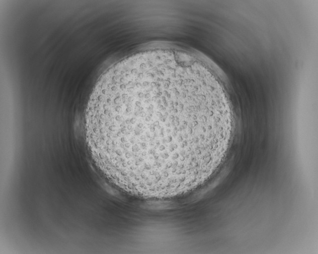 X0000111130953200908111036