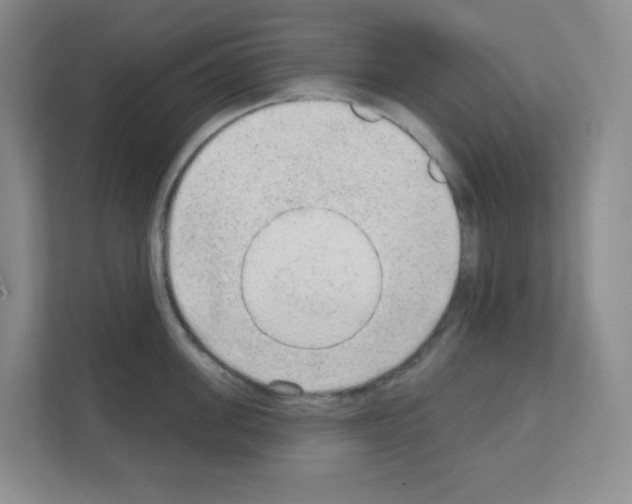 X0000111130955200908111036