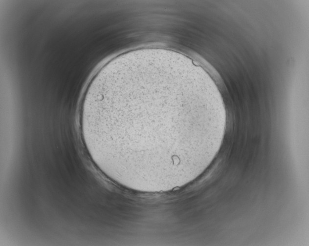 X0000111130956200908111036