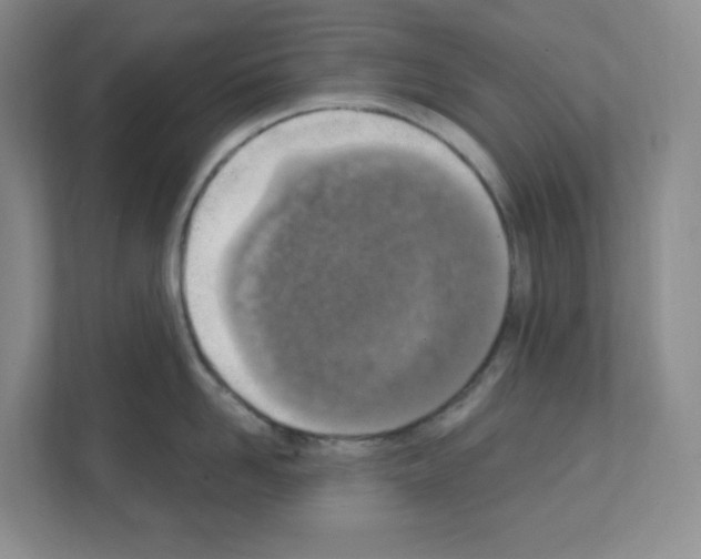 X0000111130958200908111036