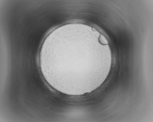X0000111130959200908111036