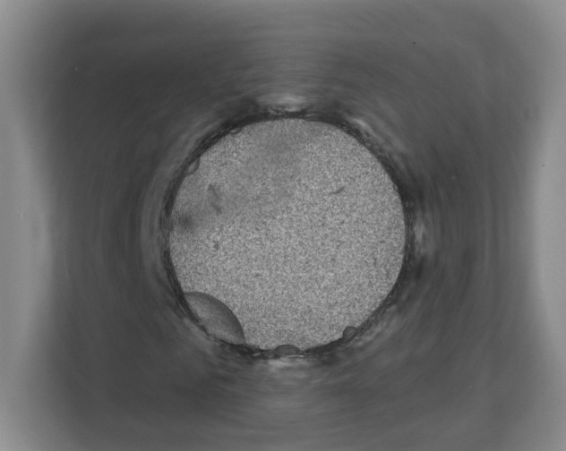 X0000111130961200908111036