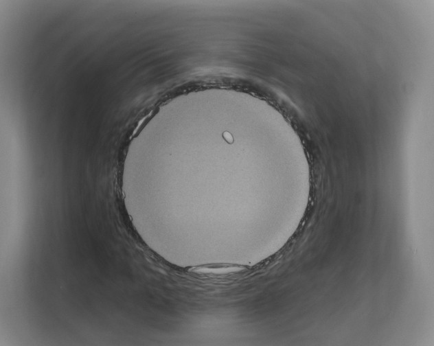 X0000111130965200908111036