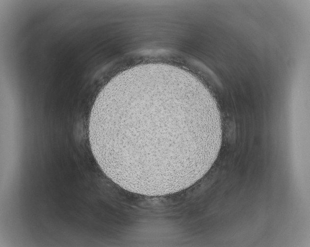 X0000111130966200908111036