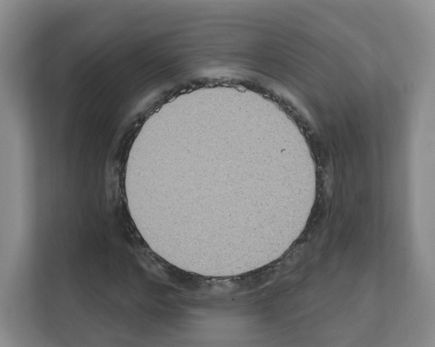 X0000111130968200908111036