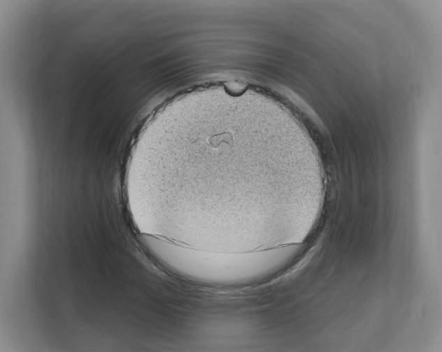 X0000111130969200908111036