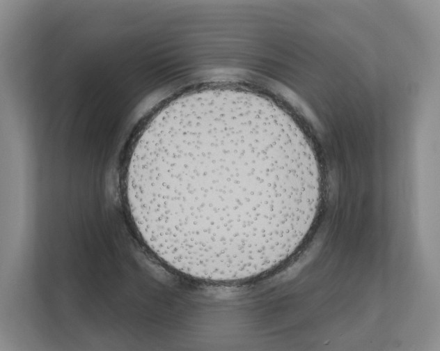 X0000111130970200908111036