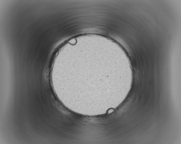 X0000111130971200908111035