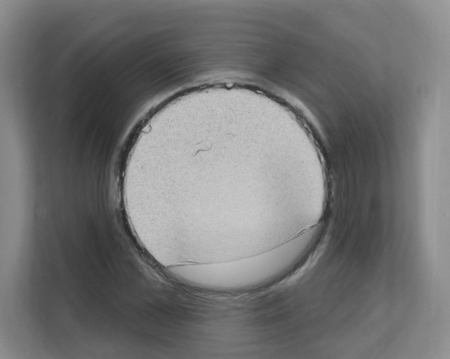 X0000111130973200908111035
