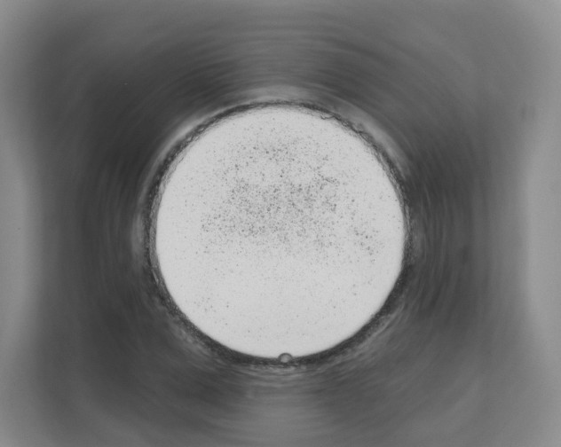X0000111130975200908111035