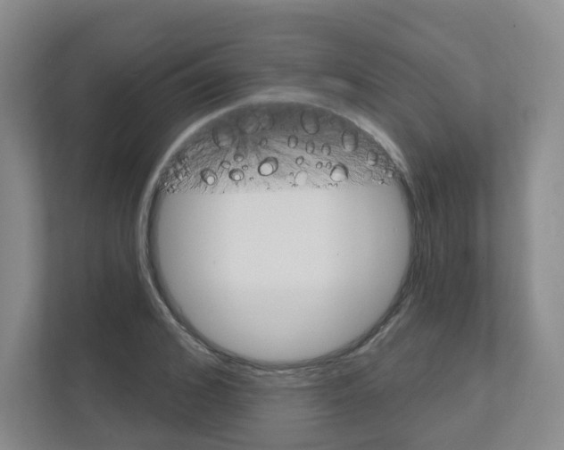 X0000111130976200908111035