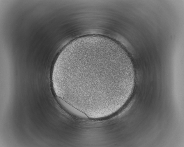 X0000111130977200908111035