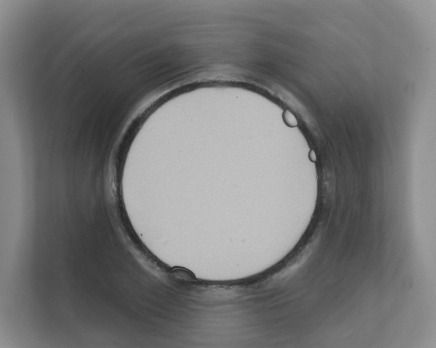 X0000111130981200908111035