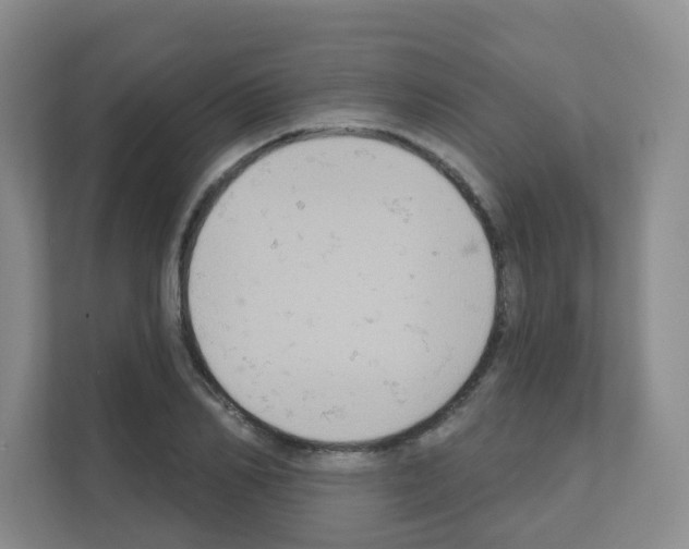 X0000111130982200908111035