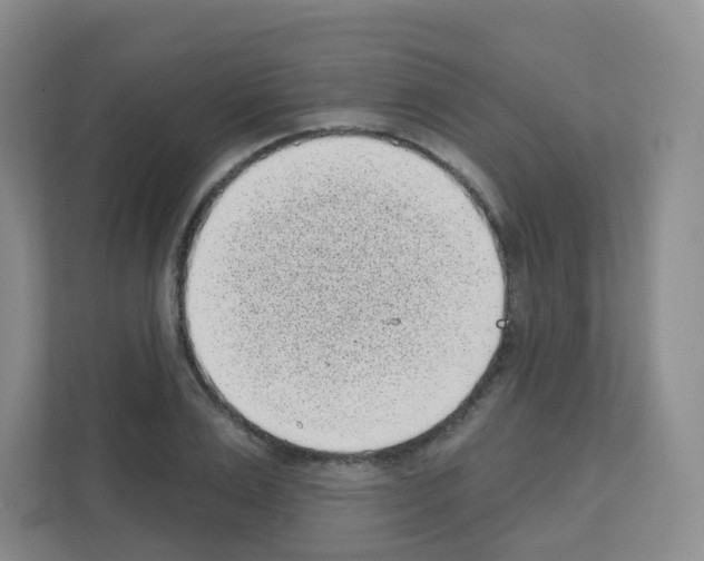X0000111130983200908111035