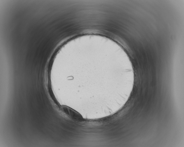 X0000111130984200908111035