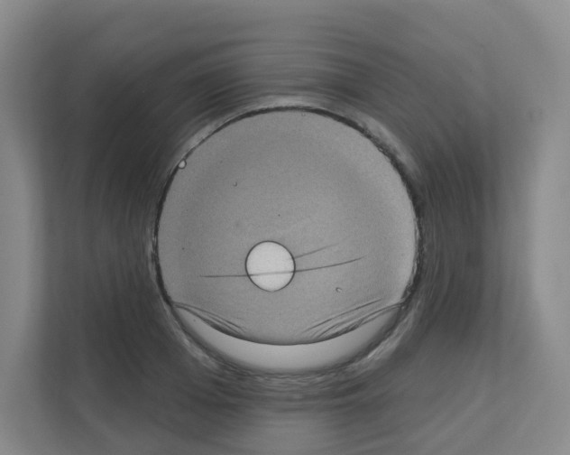 X0000111130985200908111035