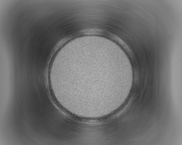 X0000111130986200908111035