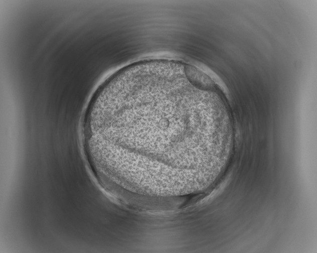 X0000111130989200908111035