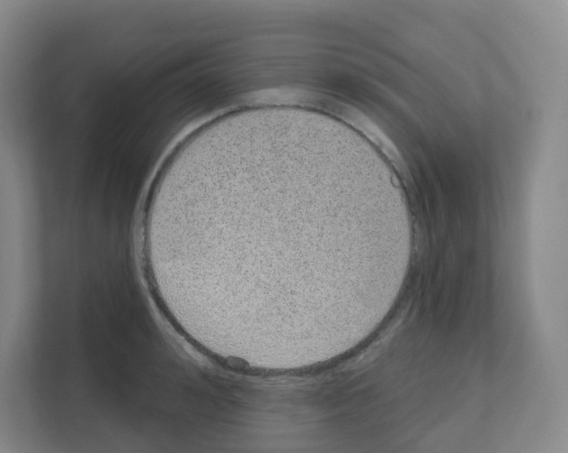 X0000111130992200908111035