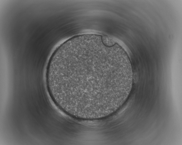 X0000111130995200908111035
