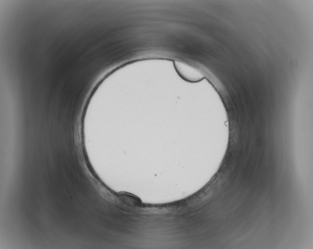 X0000111130996200908111035